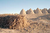 Harran, the beehive houses